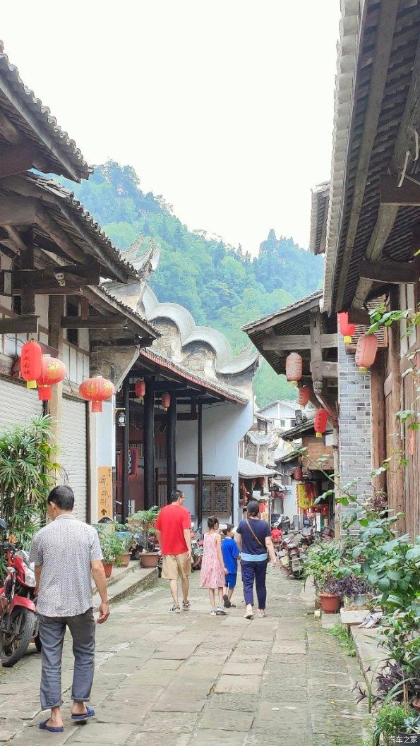 国际泳联取消了跳水世界杯,这对运动员来说公平吗?-机智问答网页